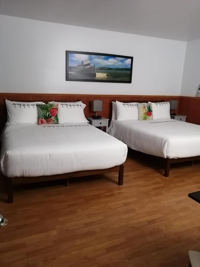 Hotel Fleurs Karaibes Saint-Alexandre-de-Kamouraska المظهر الخارجي الصورة