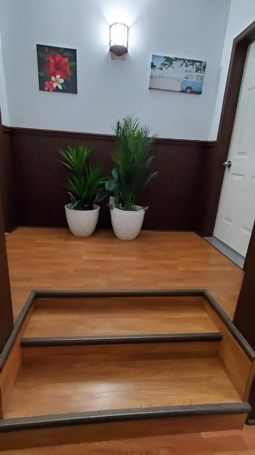 Hotel Fleurs Karaibes Saint-Alexandre-de-Kamouraska المظهر الخارجي الصورة